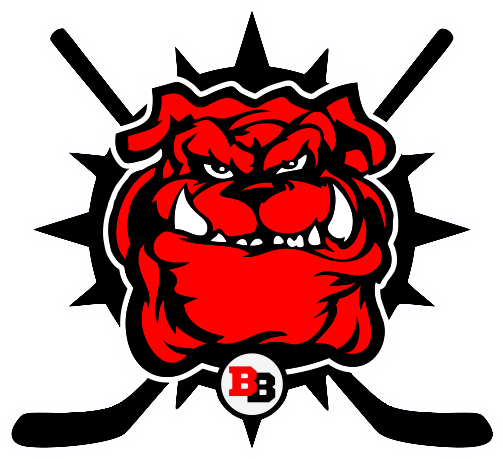 Brewster Bulldogs 2016 Secondary Logo iron on transfers for T-shirts